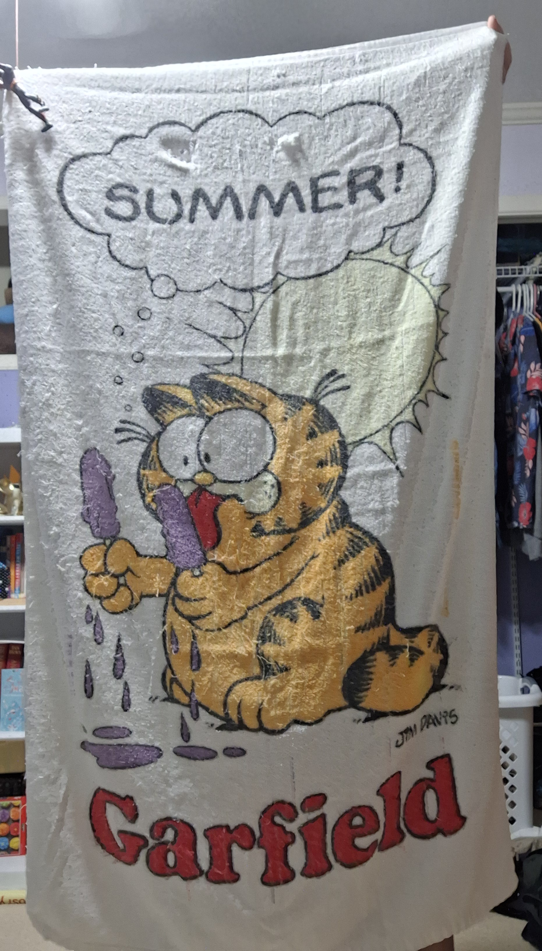 Garfield towel that was a seat cover in my Grandpa's car